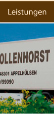 Leistungen