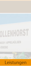 Leistungen